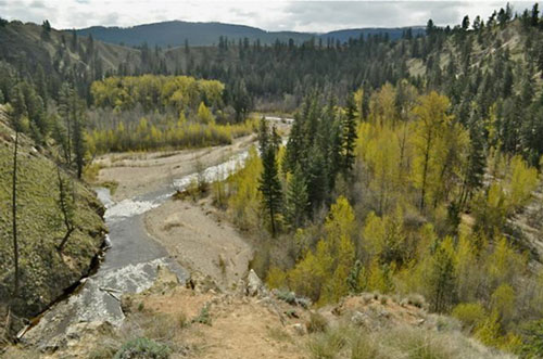 Rail Trail & Backcountry